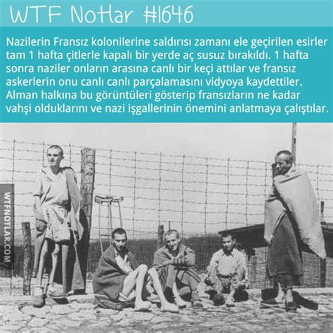 Nazilerin işkenceleri